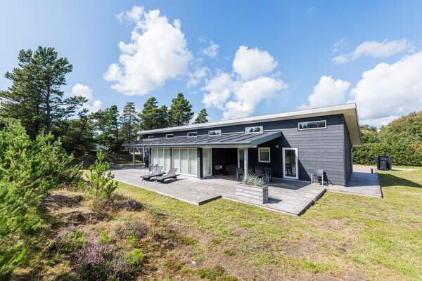 Blåvand, Südliche Nordseeküste, Dänemark, Ferienhaus 07860